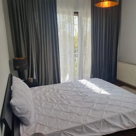 Baneasa Sisesti By Ale 2 Self Check-in Boekarest