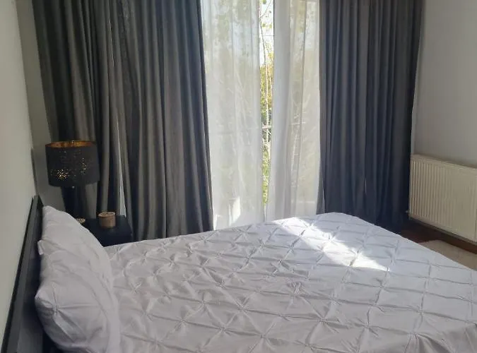 Baneasa Sisesti By Ale 2 Self Check-in Bukarest