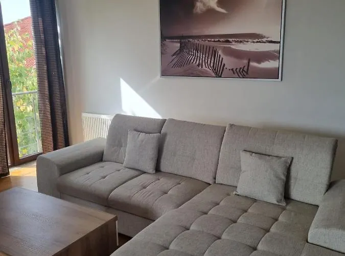 公寓 Baneasa Sisesti By Ale 2 Self Check-in