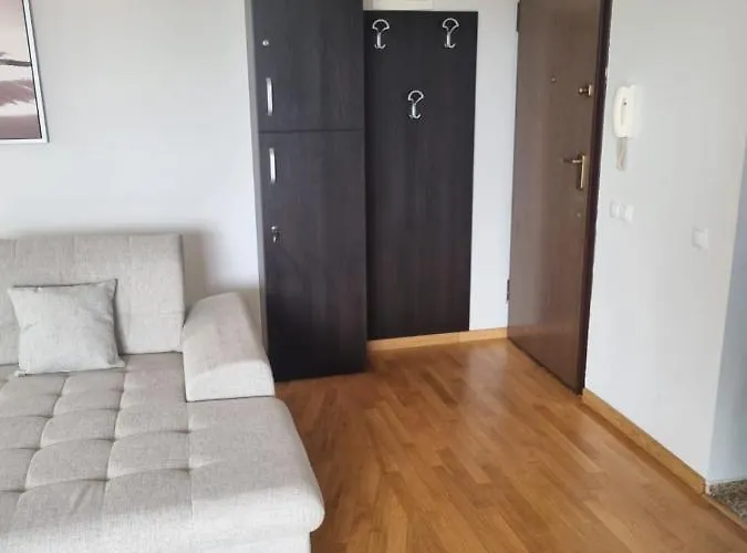 Baneasa Sisesti By Ale 2 Self Check-in 公寓 *