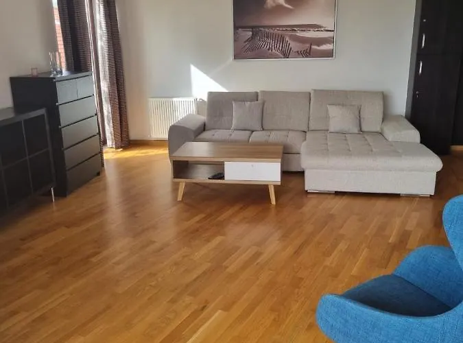 Baneasa Sisesti By Ale 2 Self Check-in 公寓